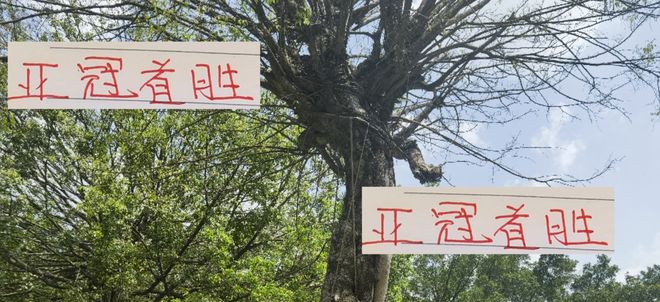 中超前2名能在国庆节前拿下亚冠首胜吗？