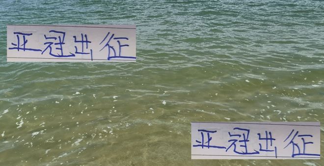 为中超增光！海港 成都 申花会在亚冠全主力出征吗？