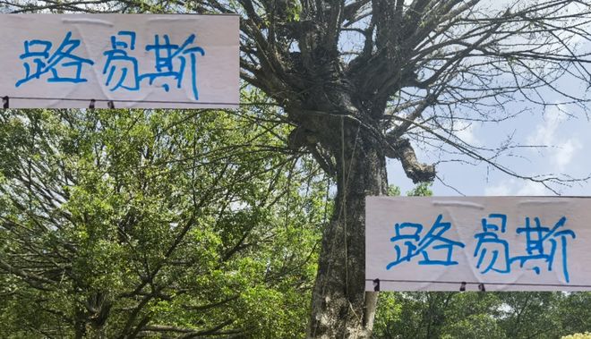 申花2个赛季队内最佳射手错失单刀 又中门柱