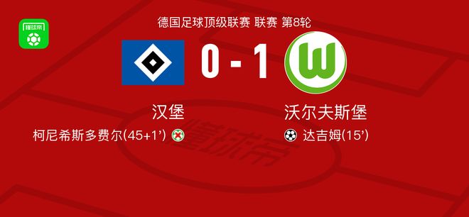 沃尔夫斯堡1-0汉堡,达吉姆一锤定音