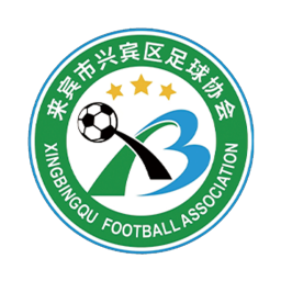 来宾市兴宾区队