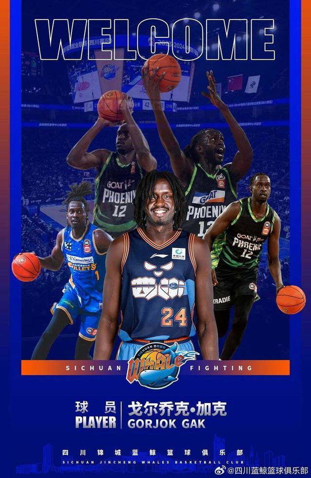 四川男篮签下澳洲中锋 元旦将迎来主场首秀
