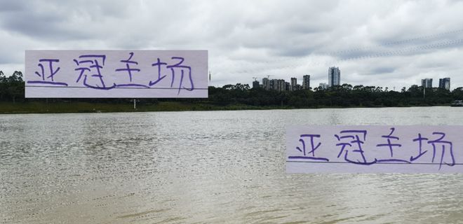 亚冠三个主场!成都球迷最多 申花其次 海港有点惨刚1万1百多观众