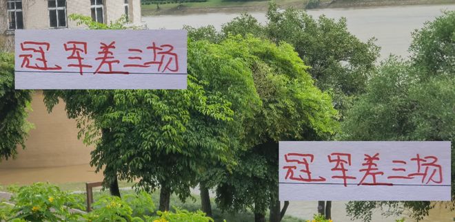 离冠军就差3场!成都也是在亚冠留力 就是打青岛西海岸