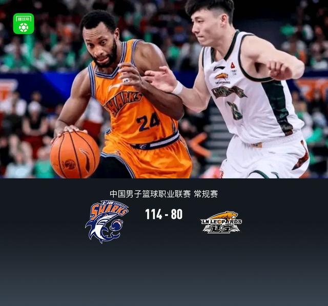 上海114-80大胜辽宁豪取22连胜，弗格32+7，莱迪24+13