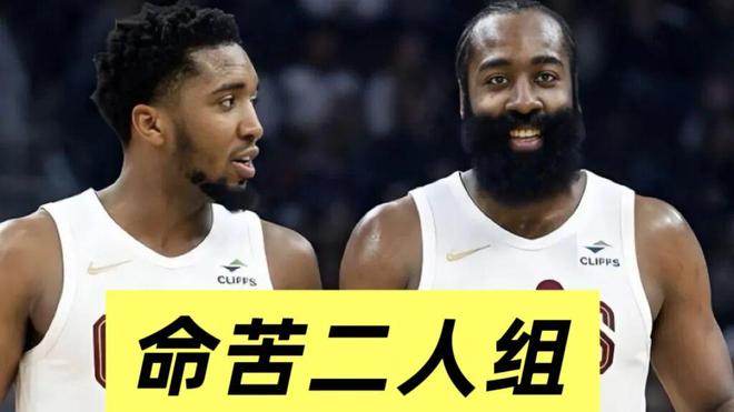 概率48%！亚历山大的FMVP！稳了？！