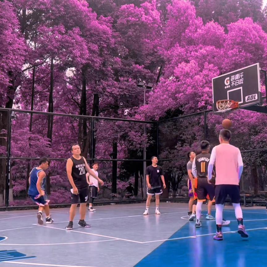 有一说一 这是全国最粉最美的篮球场之一？
