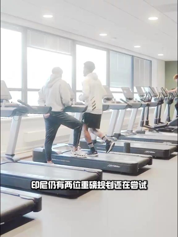 不容小覷！印尼嘗試歸化維拉球員馬特森，身價3200萬歐！