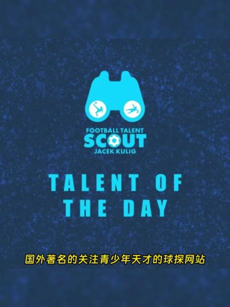 著名球探网站对王钰栋的球探报告 模板马丁内利