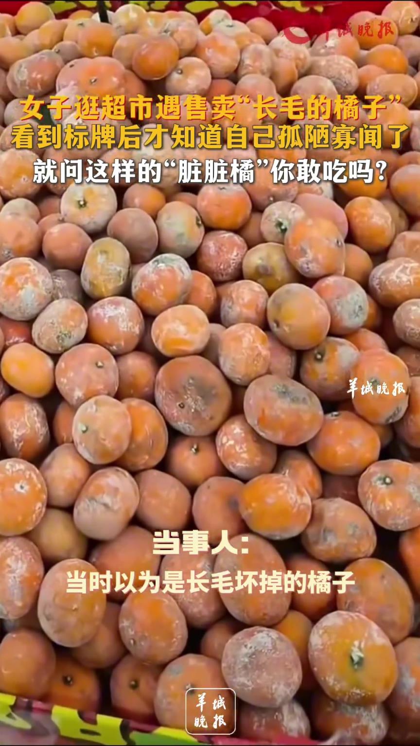 女子逛超市遇到售賣“長毛的橘子” 看到標牌后才知道孤陋寡聞了