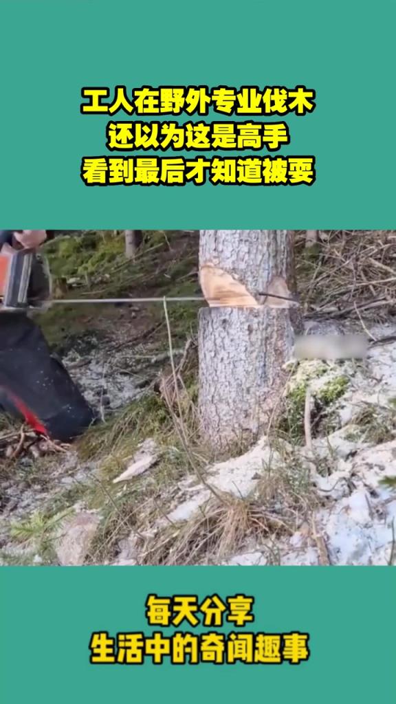 工人在野外專業伐木,還以為這是高手,看到最后才知道被耍