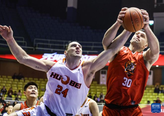 山东高速30日晚迎战天津，新援斯蒂尔将迎主场首秀