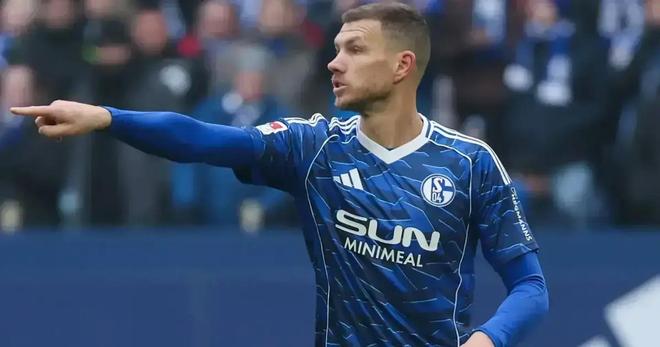 沙尔克旧将：俱乐部应和哲科续约，他肯定能在德甲帮助球队