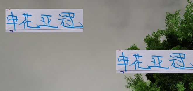 好消息！申花能最强阵打最后比赛 坏消息！李可因伤无法打亚冠