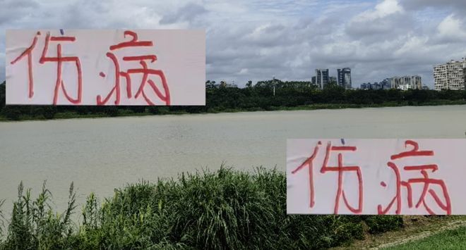 从年初伤到年末 申花跟海港伤病不断 但依然拿到老二跟中超冠军