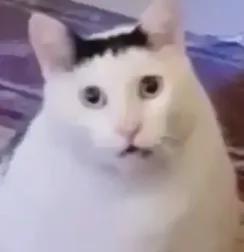 湖人狂喜！准备交易维金斯！这可是NBA总冠军前锋