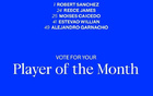 蓝军月最佳候选:桑切斯、詹姆斯、凯塞多、埃斯特旺、加纳乔