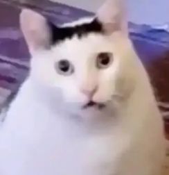 Yeah!维金斯!湖人狂喜...