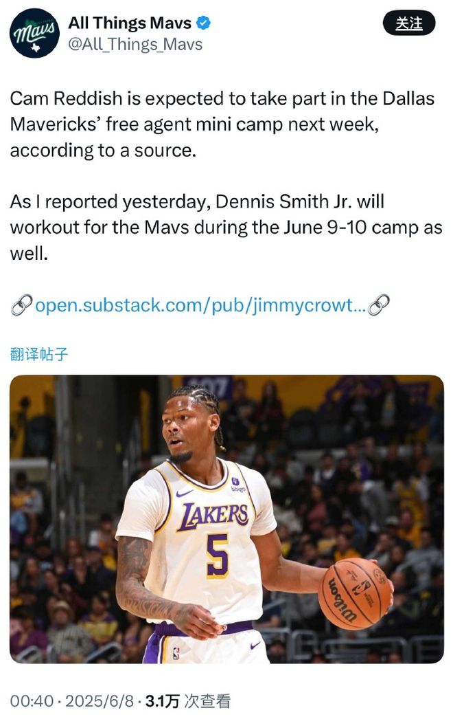 雷迪什预计将参加独行侠迷你训练营，3月份被湖人裁掉