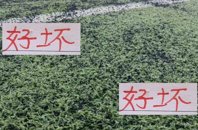 海港备战夺冠之夜！好消息加布里终于露脸 坏消息李新翔受伤